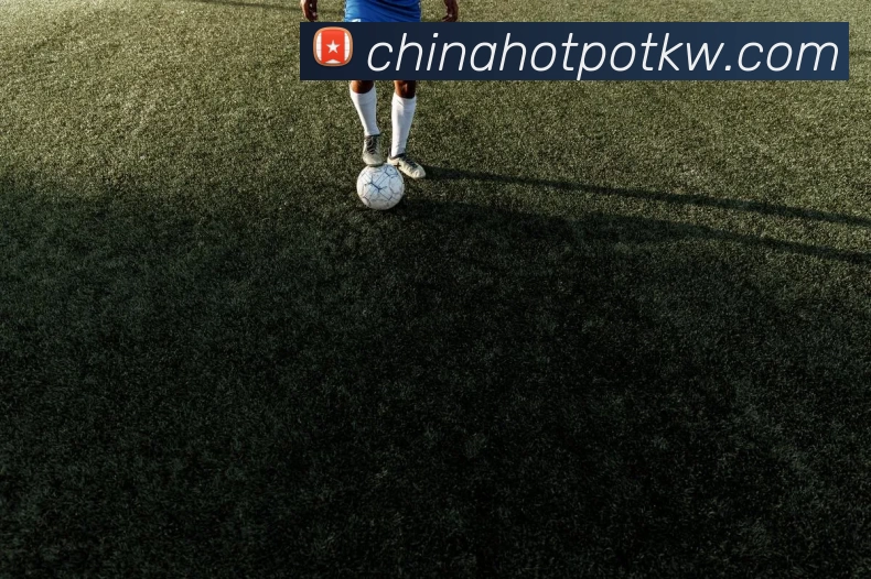 对战数据统计